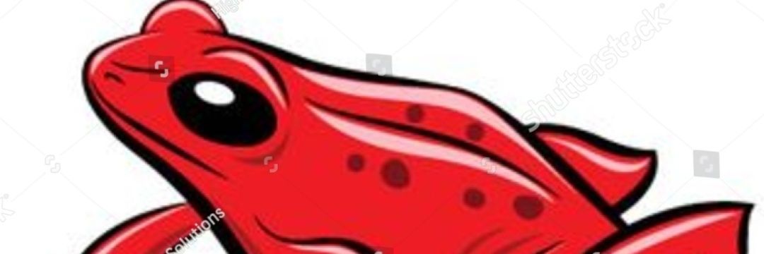 RedFrogTennis's profile banner image