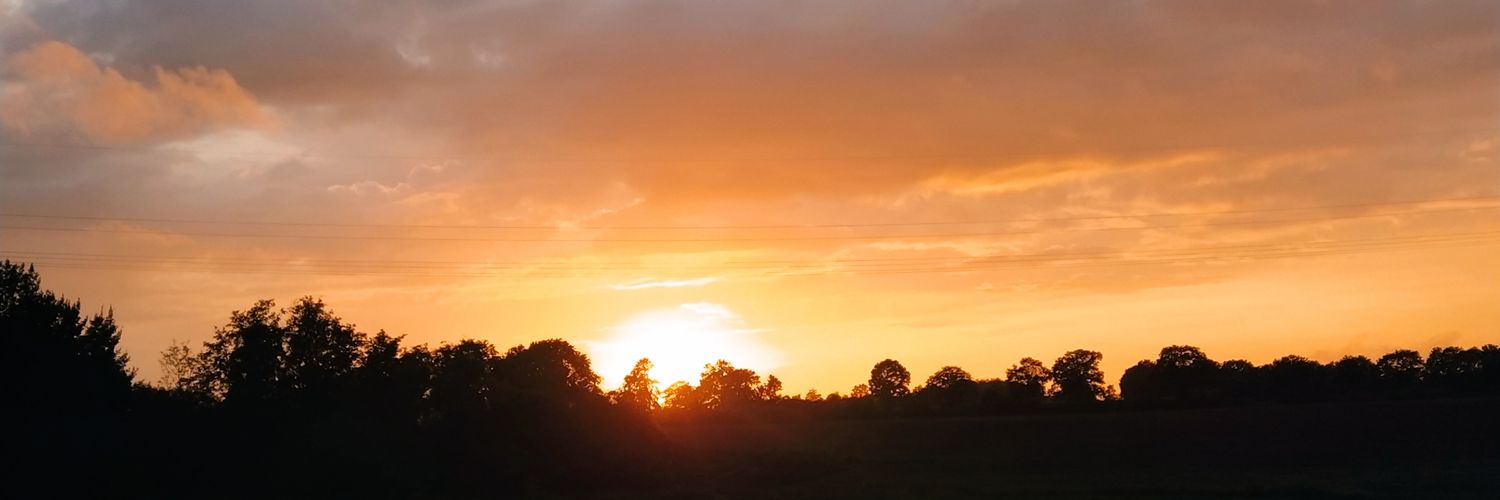 Η αλεπού banner