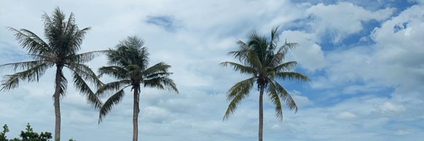 NapatJunior Profile Banner