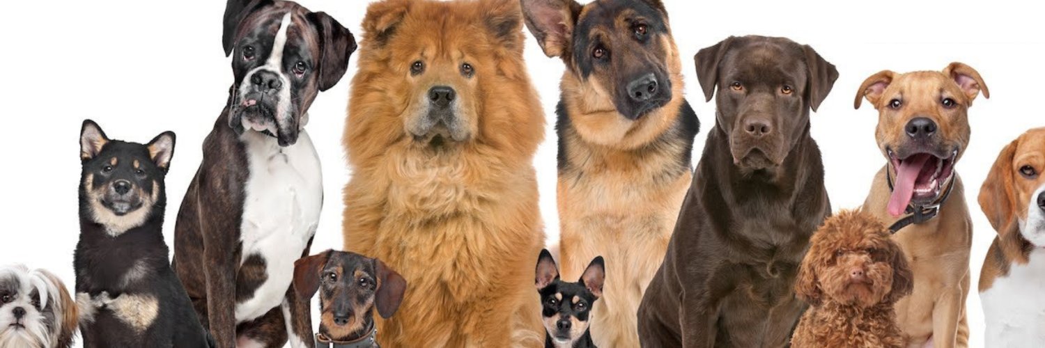 WelcomeDogPack's profile banner image
