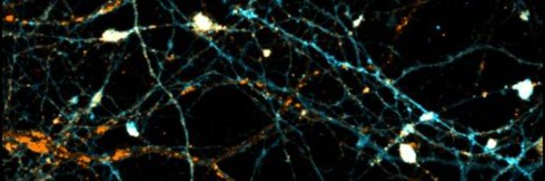 DerkDraper Profile Banner