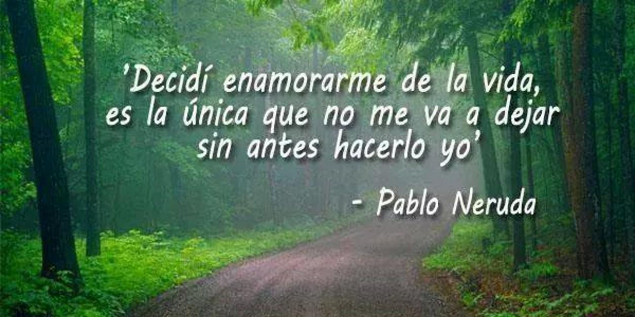 omar alvidrez banner