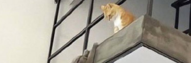 . banner