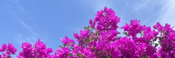 mfeer24 Profile Banner