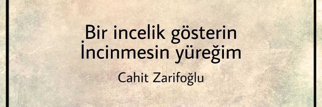 oznursara's profile banner image