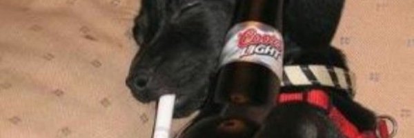 ThisIsPierogi Profile Banner