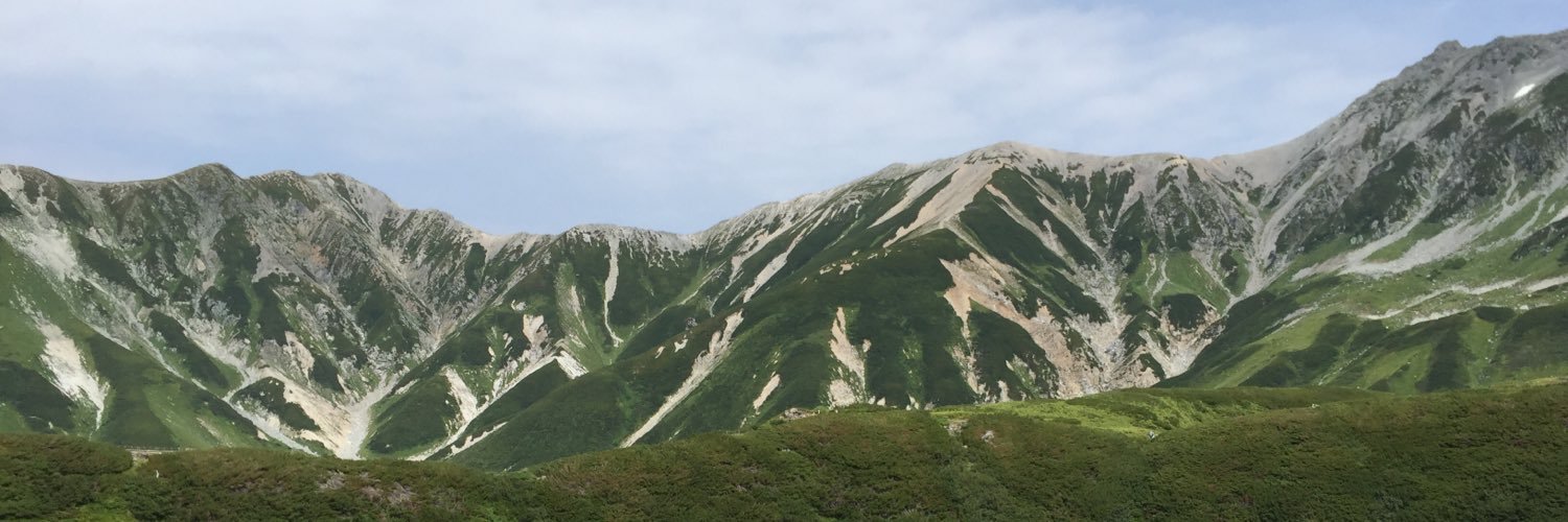 negidaikan's profile banner image