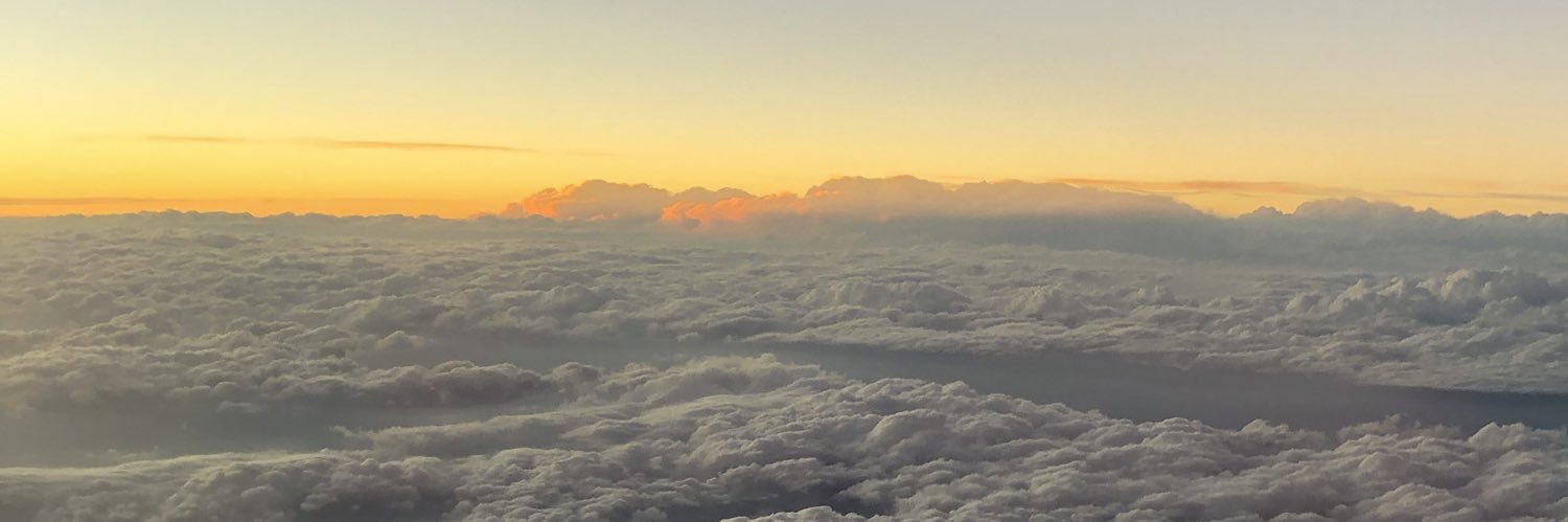 nikib1_'s profile banner image