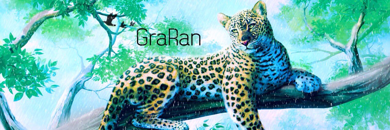 GuRaning's profile banner image
