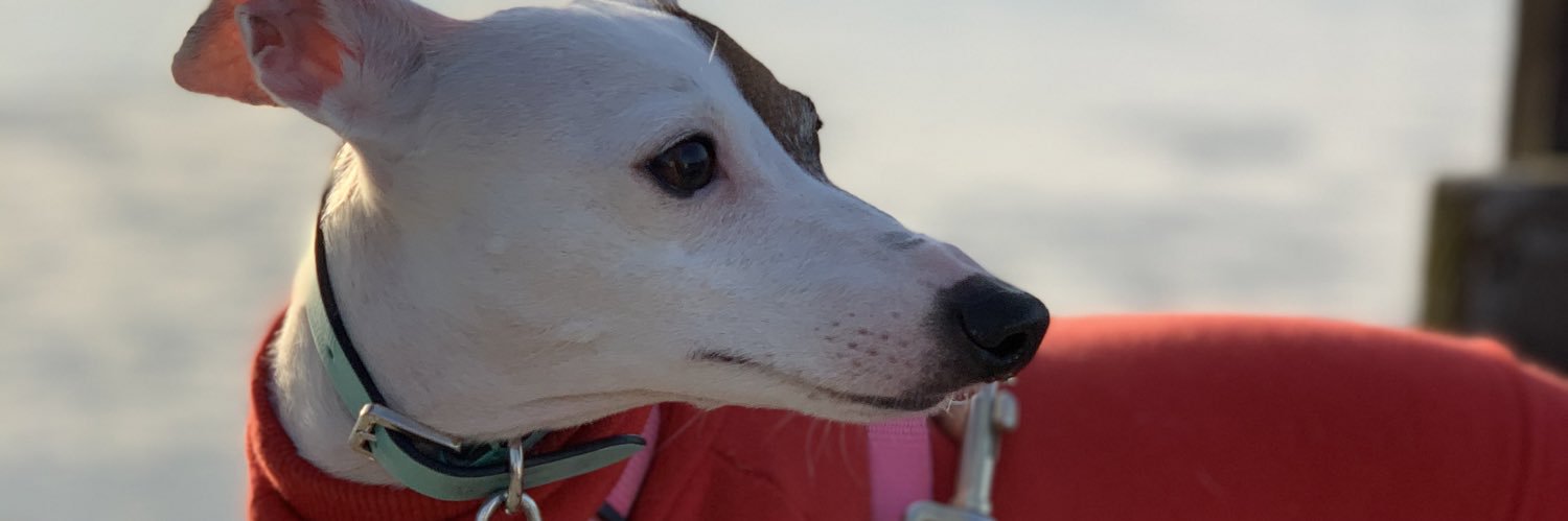 OMGUSS's profile banner image