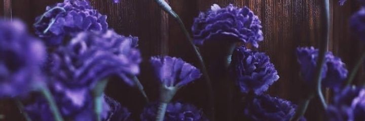 khushtfx's profile banner image