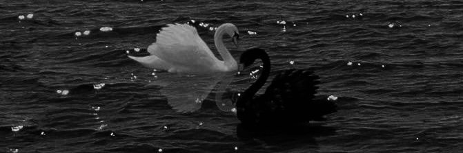 مُـزون ⭐︎ banner