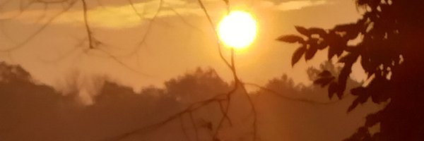 carmendelessio Profile Banner