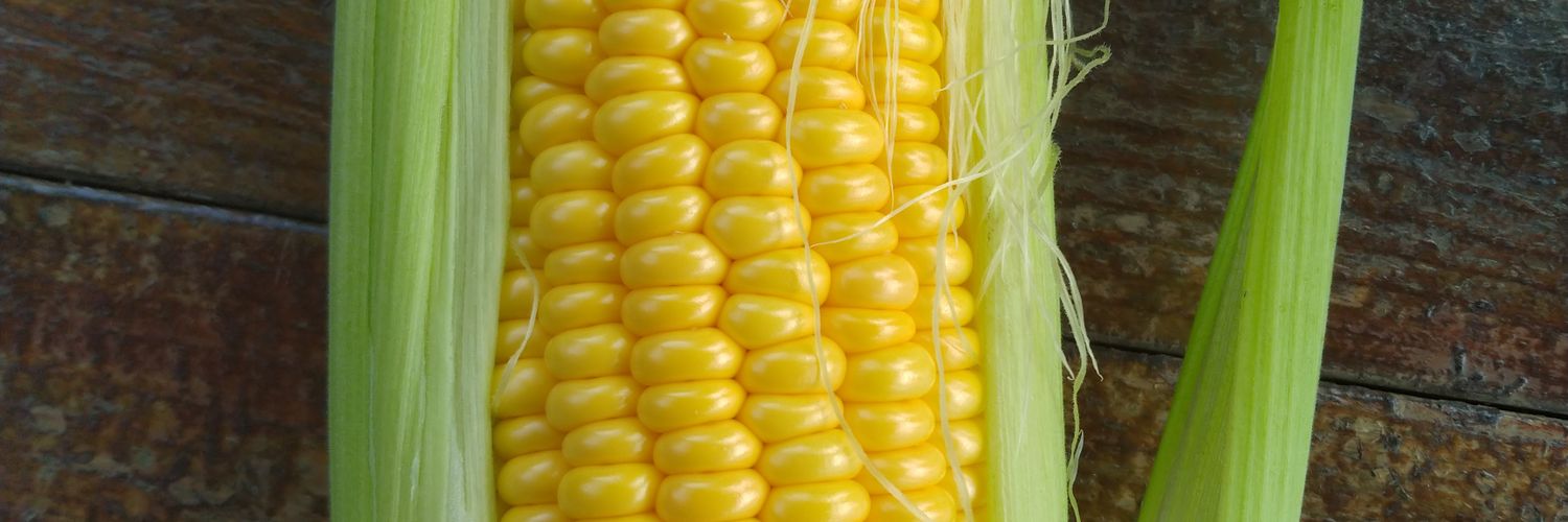 調布ベジトラスト（Farmer’s shop） banner