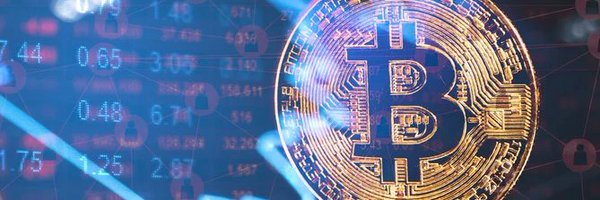 dr_cryptoworld Profile Banner