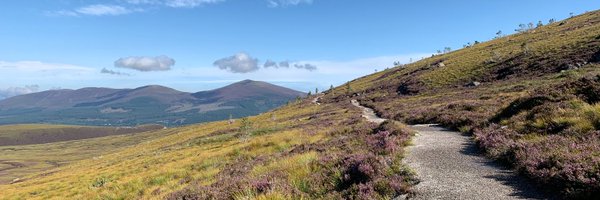 NinaDethlefs Profile Banner