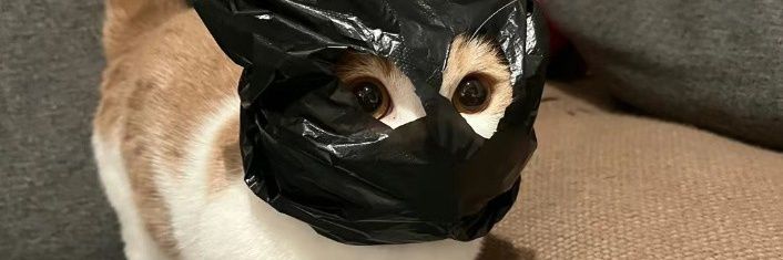 Persefone_flo banner