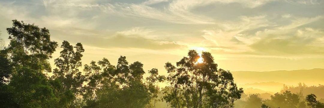 srinivas_webdev's profile banner image