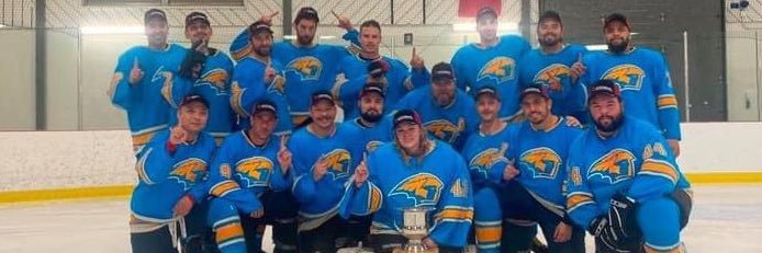 Titans Hockey banner