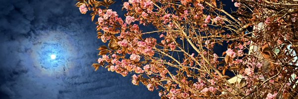 sbnbkv Profile Banner