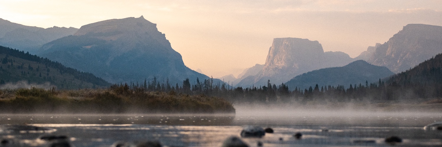 Chaney Swiney banner