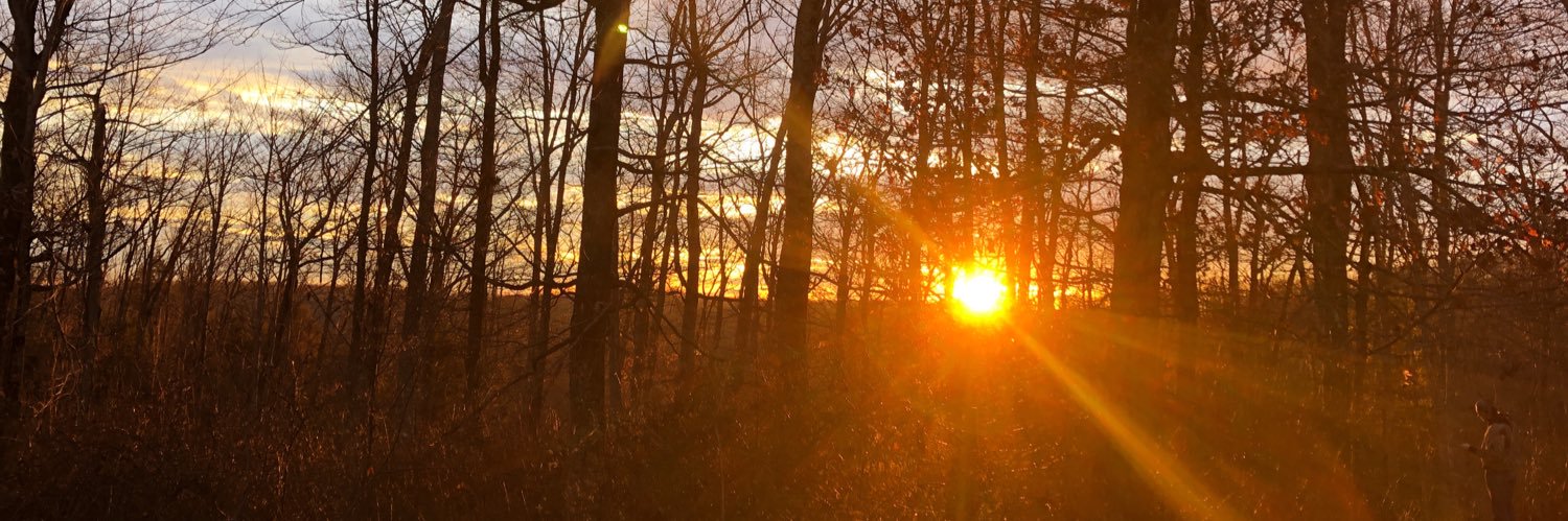 CoffeyCole's profile banner image