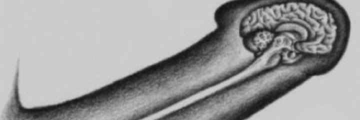 Larry capija banner