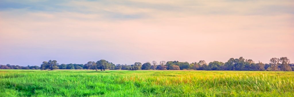 crossoverTV's profile banner image