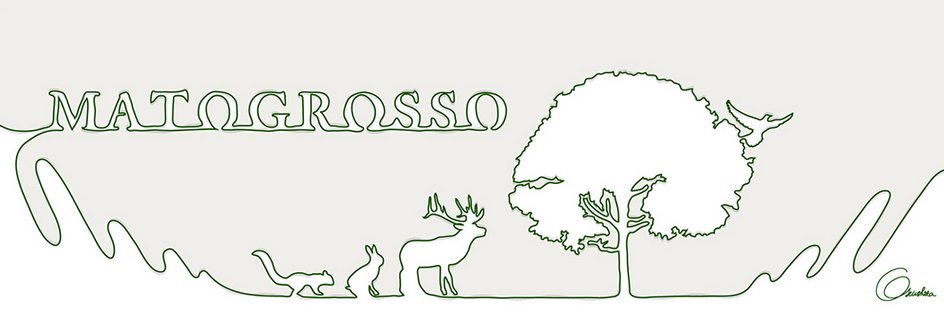 Webメディア MATOGROSSO's banner