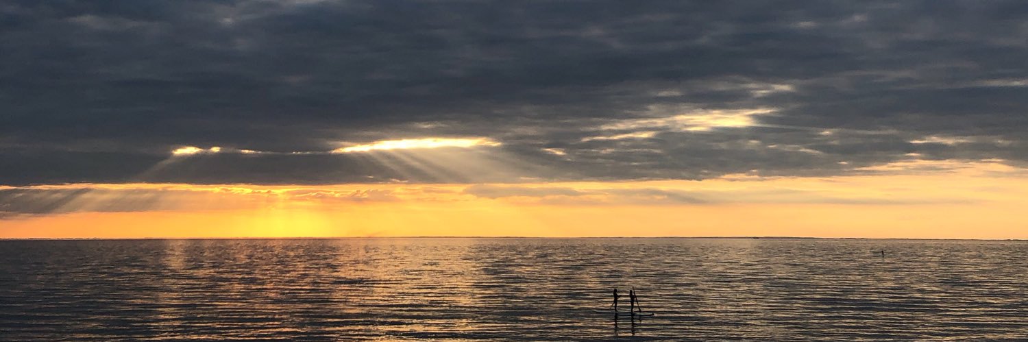 ErynDavison's profile banner image
