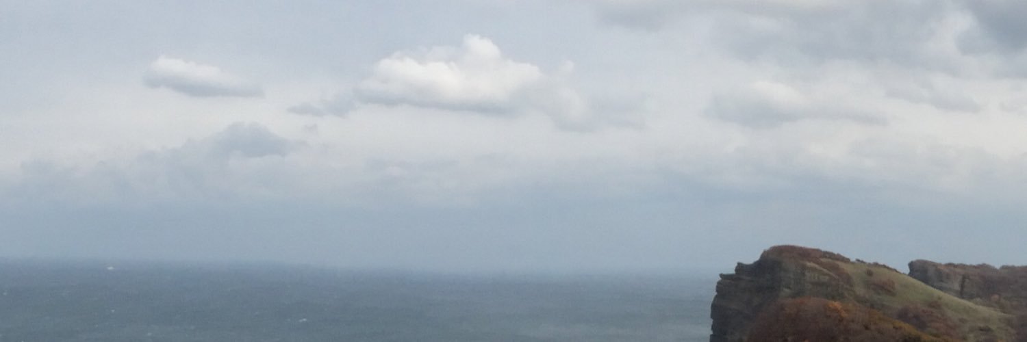 rie4649bz's profile banner image