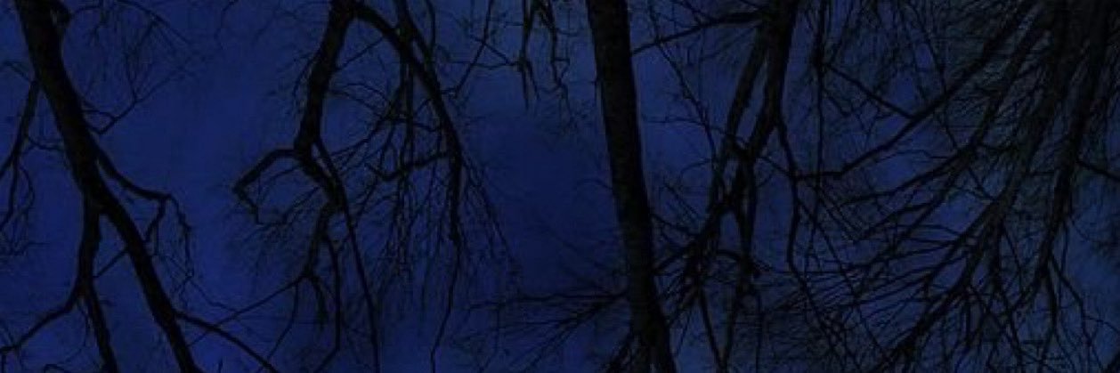 II39597896's profile banner image