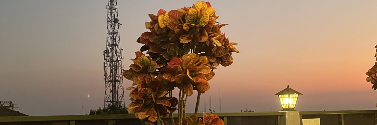 evinurkrstnt's profile banner image