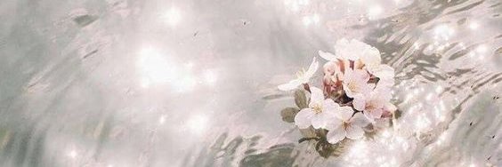 siggalitla's profile banner image