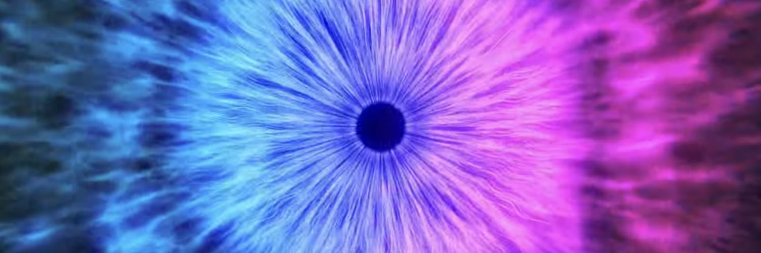 daysiboiton's profile banner image