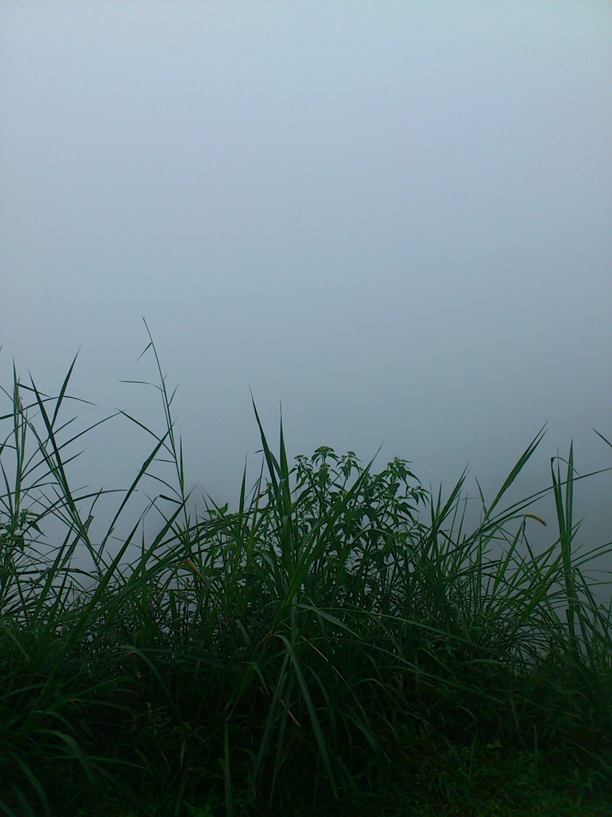 Anggit Jaka Wicaksana banner