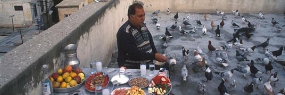 Duman Haydar banner