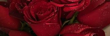 ZakifAlif's profile banner image