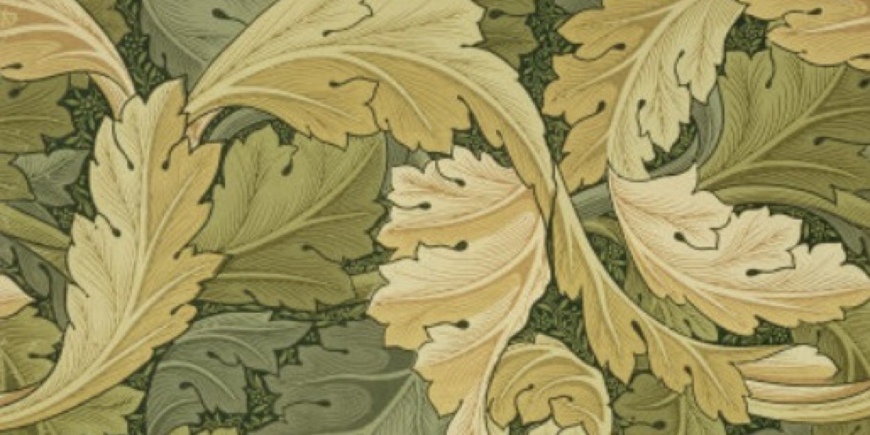 LizeeOliver's profile banner image