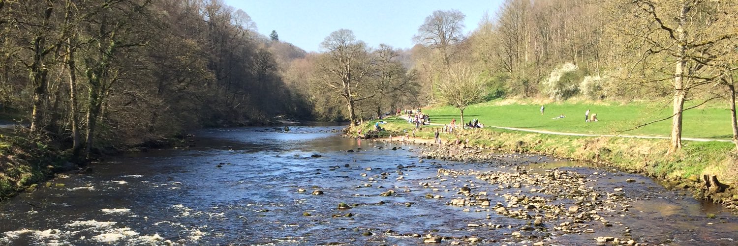 Terry McAndrew banner