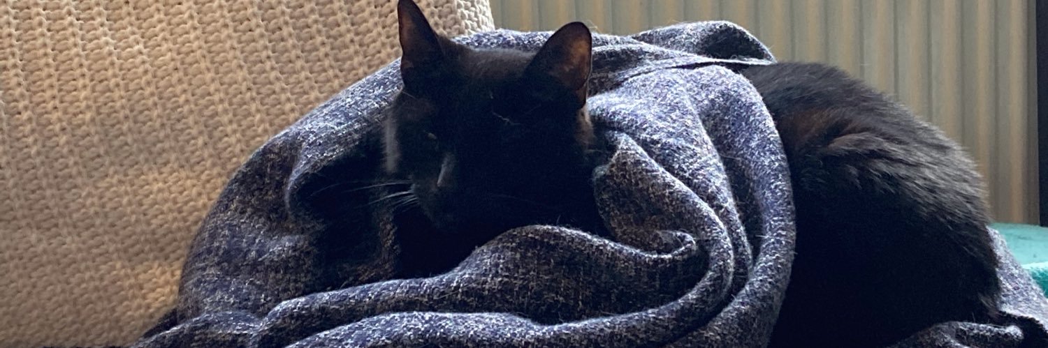 scubasannie's profile banner image