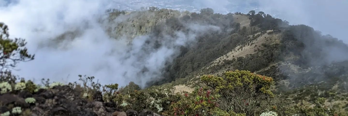 muhdhito's profile banner image