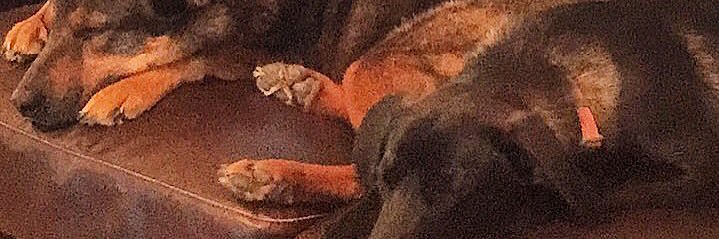 simplemanbrook's profile banner image