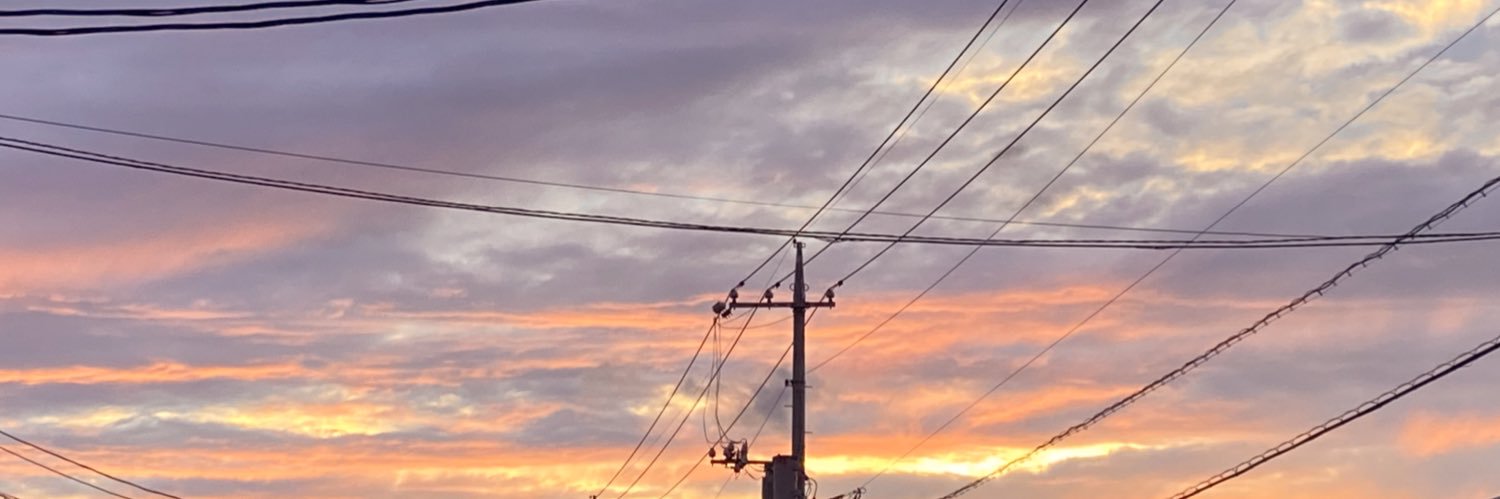 真青 banner