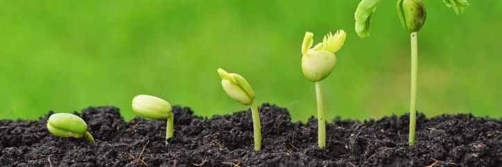 Sustainable Farming Solutions banner