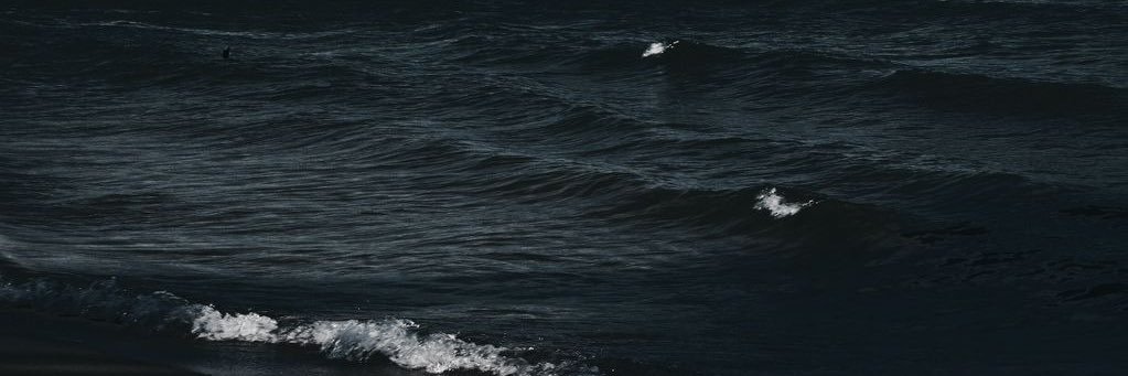 jespersenmarina's profile banner image