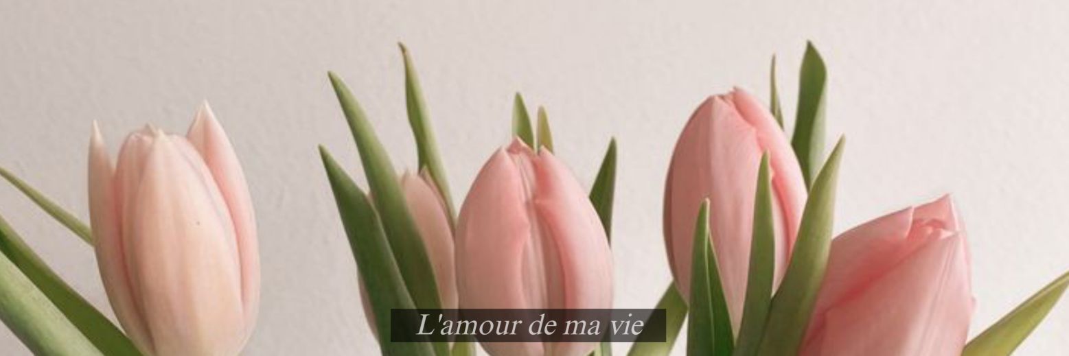 doahae🧸🎀 banner