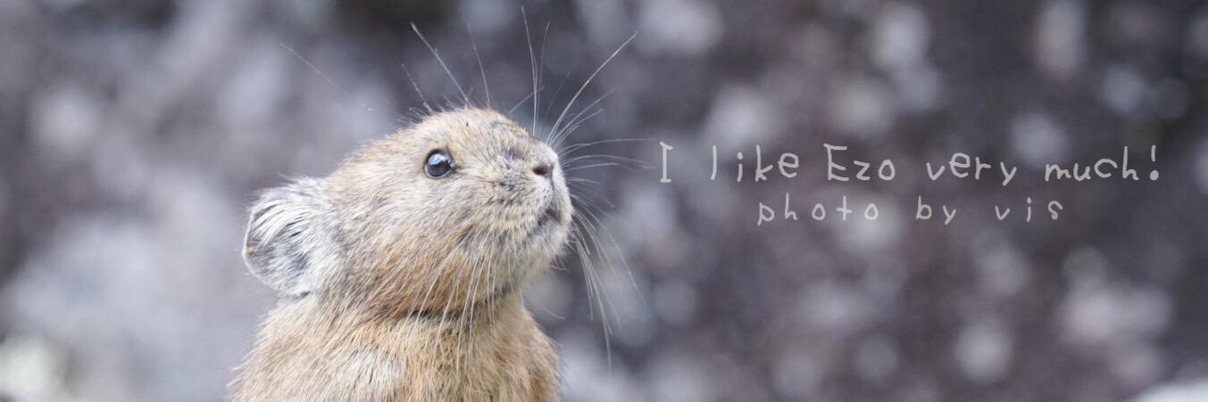 ビス banner
