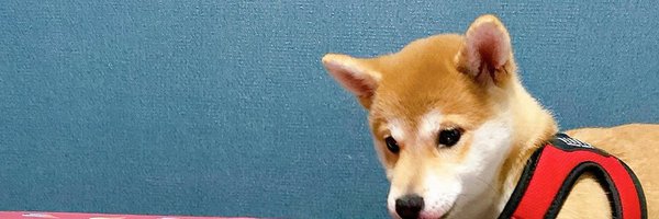 _ginger_teeNF Profile Banner
