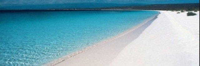 alanationn's profile banner image